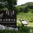 경주 함월산 왕의 길 이미지