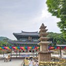 석조농장 | 2025 영암 반딧불 축제 작년 올해 비교 후기