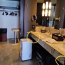 카멜리아세탁소 | [괌 숙소 추천] 괌 츠바키 호텔 카멜리아 주니어 스위트 클럽 룸 후기