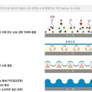 JR강판 (링클수지강판) 이미지