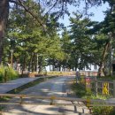 등명해변 이미지