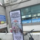 장보는강아지와고양이동 | 부산 광안리 데이트코스 추천 냥냥늉늉 고양이카페 방문 후기