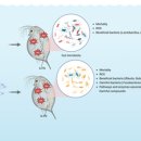 제주대학교 사회교육대학원 이미지
