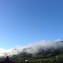 보현산칼국수 이미지