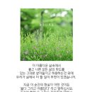 눈부신 오늘
