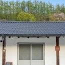 별길따라 네이버블로그