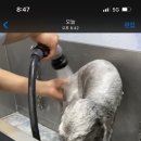 마이리틀프렌드 강남점 이미지