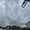 매일카프라자 이미지