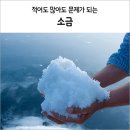소금 네이버블로그