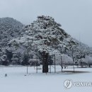 일원본-103 이미지