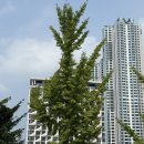 세븐일레븐 고양연결점 | 고양 숙소 킨텍스바이케이트리 후기 ! 고양종합운동장 콘서트 도보 가능