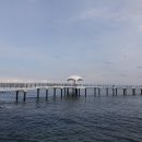 (주)주일해상