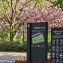 탑골 어린이공원 이미지