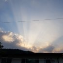 하늘농약사 이미지