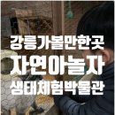 자연생태박물관 내 화장실 | [가볼만한곳] 강릉 생태체험박물관 자연아놀자