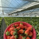 영원농장 이미지