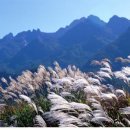 오봉어린이공원 이미지