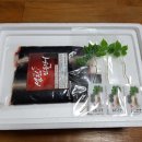 섬진수산식품 네이버블로그