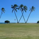 탑스크린골프아카데미 | 골프레슨 무료레슨(30분) 후 프로 후기