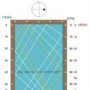 인간의 유래와 성선택 읽기 + '종의 기원 읽기...' (271) 이미지