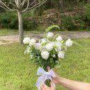 구암동647 | [유성 꽃집 / 상대동 꽃집] 베이그플라워 촬영용부케 본식부케 결혼식부케 브샤부케