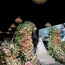 메모리 | 어두운홀 본식 스냅 디어메모리 가격 할인 총정리 &amp; 계약 후기 (짝꿍 할인 O)