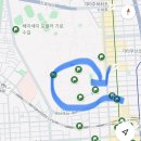 대청초 정문 옆 학교숲길 | 삿포로 10월 여행 삿포로역 단풍 명소 추천 홋카이도대학