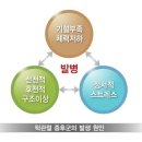 경희정함한의원 이미지