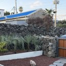 담우스테이 애월 이미지