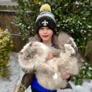 애묘(고양이)백과 - 시베리안 (Siberian) 이미지
