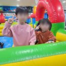 한국대룡태권도 이미지