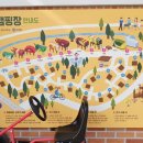 삼강나루캠핑장 이미지