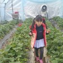 유창어린이집 이미지