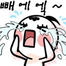 철인서적 이미지