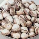 청담피트니스 이미지