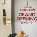 고돌이네 | [🐾 스타필드 파주운정 ‘빌리지’ 애견동반 방문 후기]