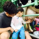 신하목장 Daum카페