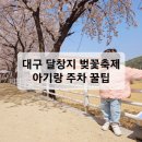 임기분교앞 하천건너편 | 대구 달창지 벚꽃 축제 아기랑 주차 꿀팁
