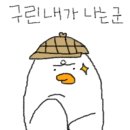 제주굿덴트세차