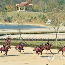 미림 - 의성군 | 미림