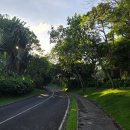 주식회사 현대수리조트 | 발리 아야나 림바 리조트 수영장 조식 키즈카페 후기