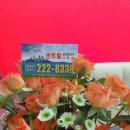 흥부익스프레스 네이버블로그