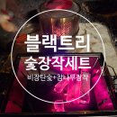 숯피우는총각 | 숯불 피우기 힘들다면? 블랙트리 비장탄+장작으로 해결!