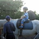 어승생승마장 이미지