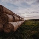 손해평가사 2차 이미지