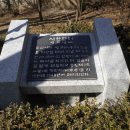 사직얼음