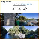 제주 서귀포 쇠소깍 | 제주도 서귀포 가볼만한곳 제주 쇠소깍 전통 나룻배 테우 카약 예약 가격 주차장 후기