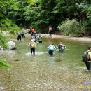 백두세상 이미지