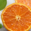 한길3농장 이미지