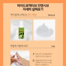 레푸스전주 이미지